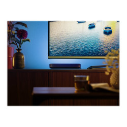 Philips Hue White and Color Ambiance Play - Barra de luz - LED - 6.6 W
