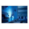 Philips Hue White and Color Ambiance Iris special edition - Lámpara de