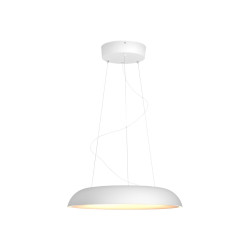 Philips Hue White ambiance Amaze - Lámpara colgante - LED - 25 W (equi