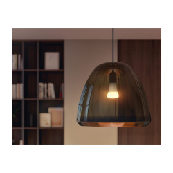 Philips Hue White - Bombilla LED - forma: A67 - E27 - 15.5 W (equivale