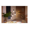 Philips Hue White ambiance - Bombilla con filamento LED - forma: A60 -