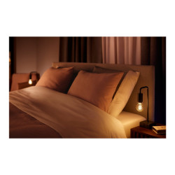 Philips Hue White ambiance - Bombilla con filamento LED - forma: A60 -