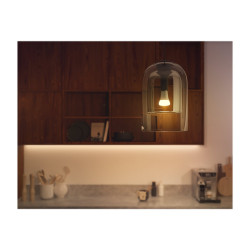 Philips Hue White ambiance - Bombilla LED - forma: A67 - E27 - 13 W (e