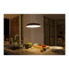 Philips Hue White ambiance Amaze - Lámpara colgante - LED - 25 W (equi