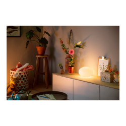 Philips Hue White and Color Ambiance Flourish - Lámpara de s | APLIUM