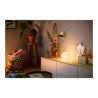 Philips Hue White and Color Ambiance Flourish - Lámpara de s | APLIUM