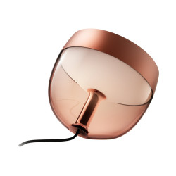 Philips Hue White and Color Ambiance Iris special edition - | APLIUM