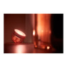 Philips Hue White and Color Ambiance Iris special edition - | APLIUM