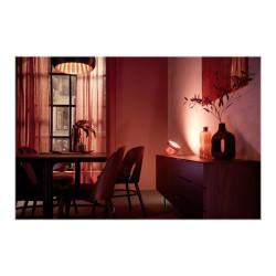 Philips Hue White and Color Ambiance Iris special edition - | APLIUM