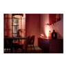 Philips Hue White and Color Ambiance Iris special edition - | APLIUM