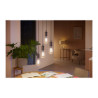 Philips Hue White ambiance - Bombilla con filamento LED - forma: ST72