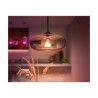 Philips Hue White and Color Ambiance - Bombilla LED - forma: | APLIUM