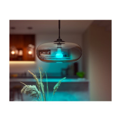 Philips Hue White and Color Ambiance - Bombilla LED - forma: | APLIUM
