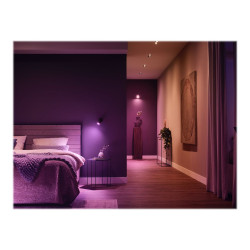 Philips Hue White and Color Ambiance - Bombilla de foco LED | APLIUM