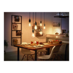 Philips Hue White - Bombilla con filamento LED - forma: G93 - E27 - 7
