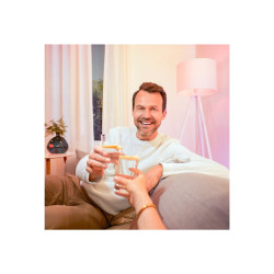 WiZ Colors - Bombilla LED - forma: A60 - E27 - 8 W (equivale | APLIUM