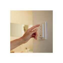 Philips Hue Amaze - Lámpara colgante - LED - 33.5 W (equivalente 204 W