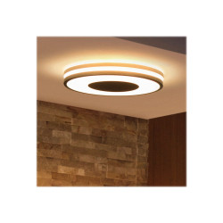 Philips Hue Being - Lámpara de techo - LED - 27 W (equivalente 204 W)