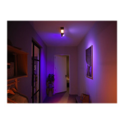 Philips Hue White and Color Ambiance Centris - Foco para tec | APLIUM