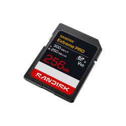Extreme Pro 256GB Uhs-ii Cards SD 300MB/S(R) / 250MB/S(W) | APLIUM