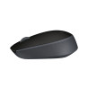 Wireless Mouse M171 Black