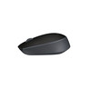 Wireless Mouse M171 Black