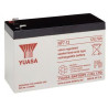 Lead Acid Battery