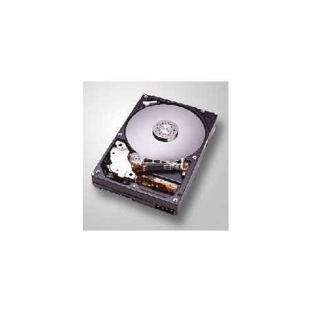 40GB Deskstar Hard Drive (ATA | APLIUM