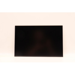 14.0" WUXGA AG LCD display