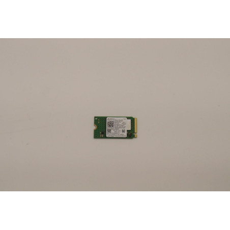 256GB M.2 2242 PCIe 4.0 NVMe