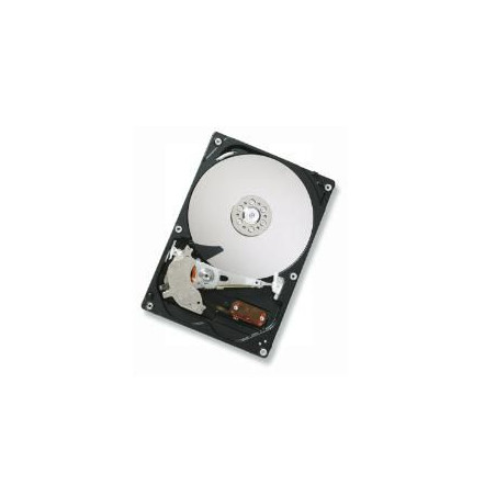 17-inch display compatible
