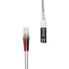 17-inch display compatible