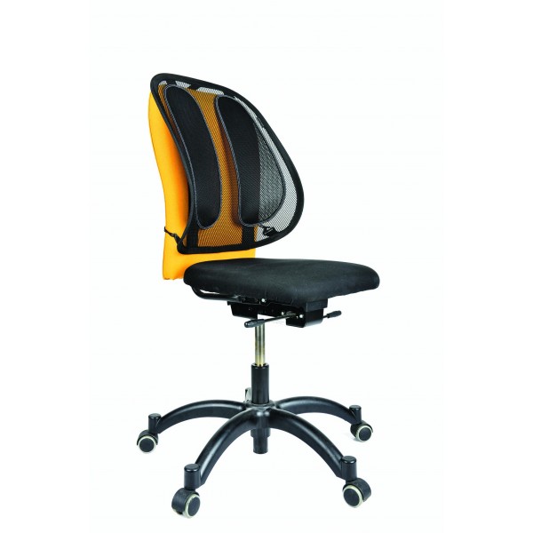 fellowes-ergonomic-lower-back-support-office-1.jpg