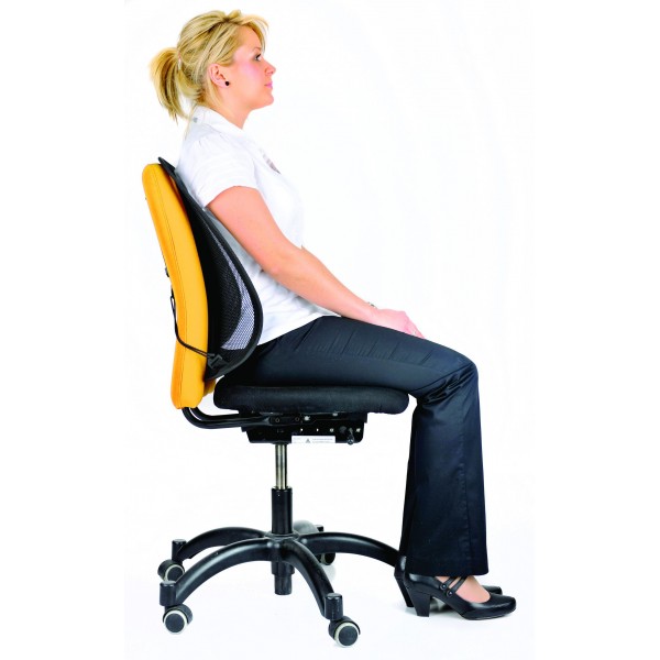 fellowes-ergonomic-lower-back-support-office-2.jpg