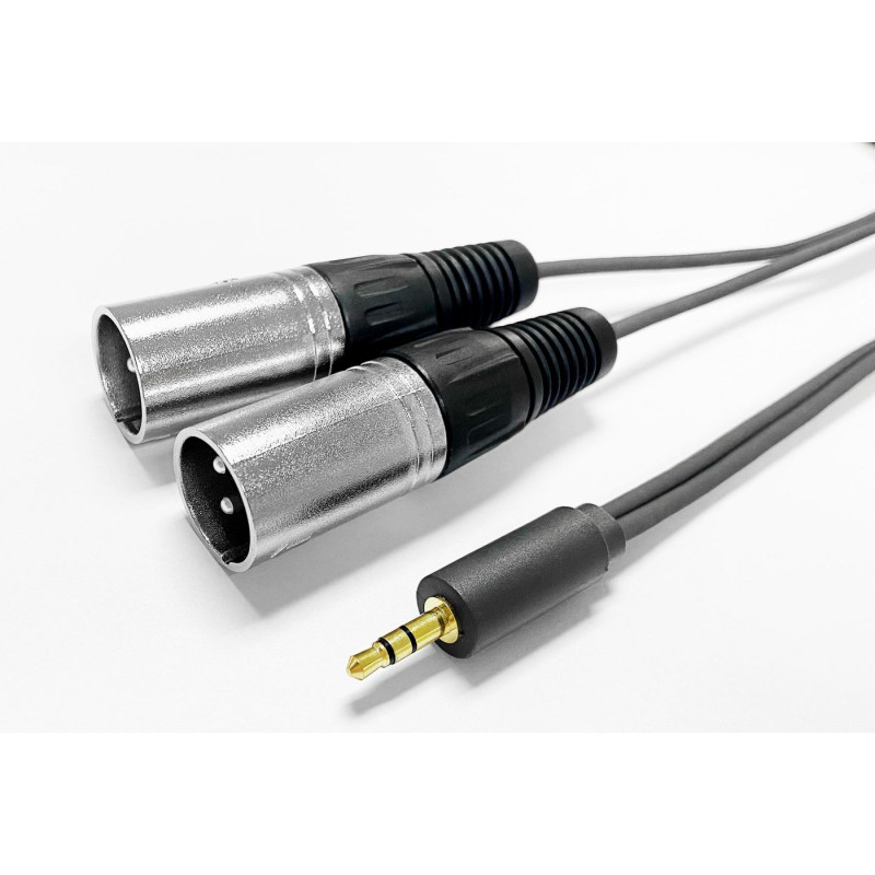 3.5MM CABLE to 2 x XLR male 5m
