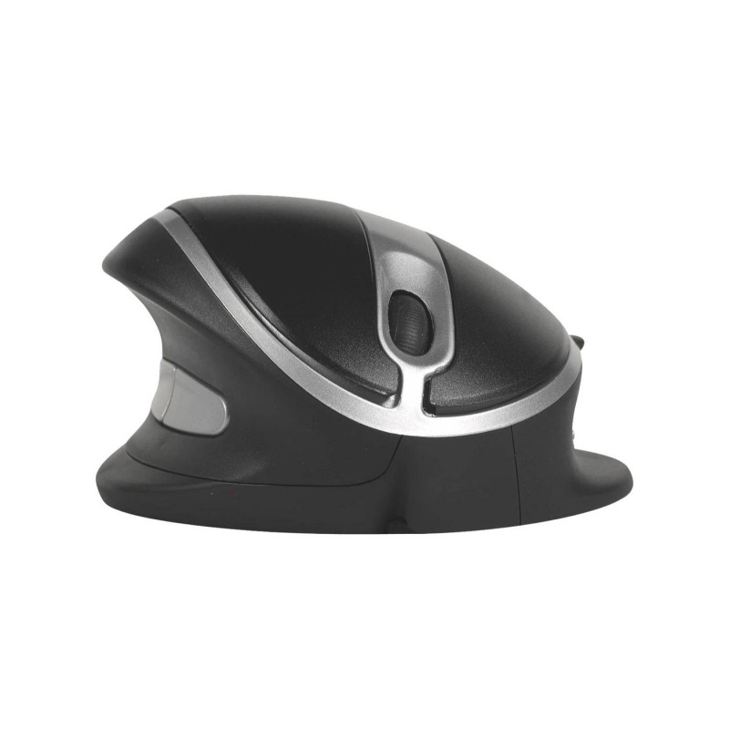 Oyster Mouse