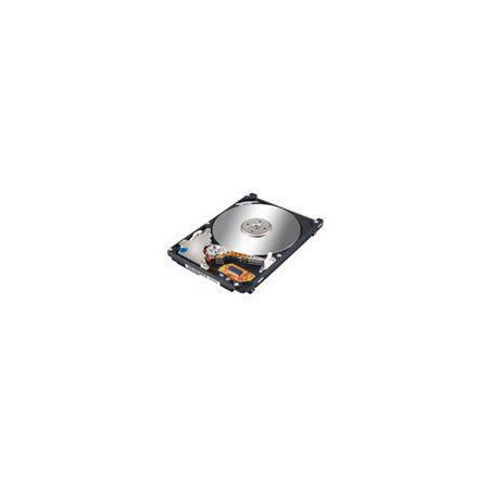 73,4GB 10K 2,5 INCH SAS HDD