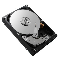 300GB 10K 12G 2.5INCH SAS HDD