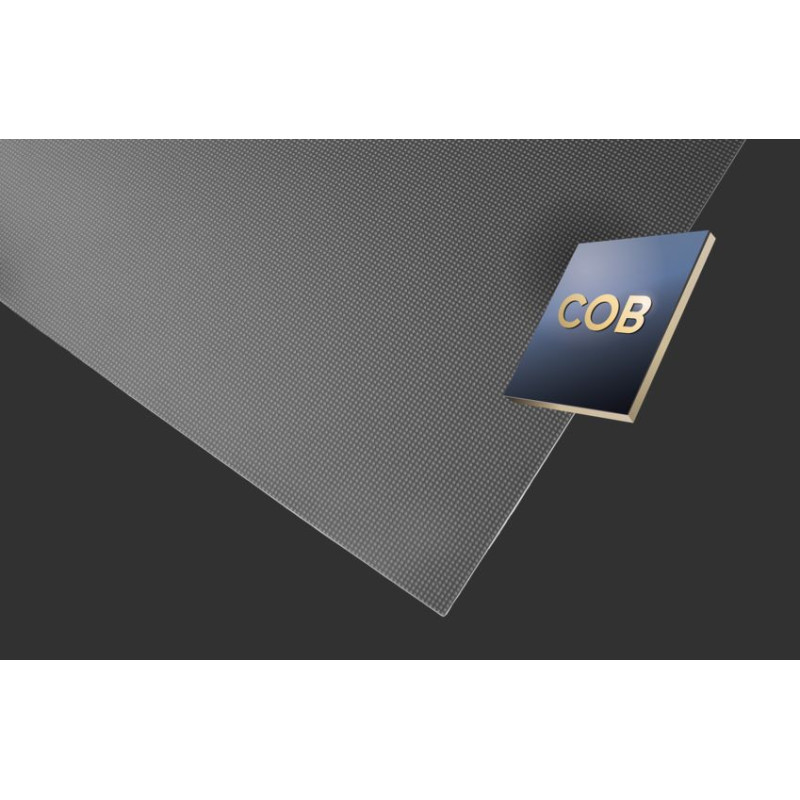 DS-D4009BW-2FC/A, DVLED Lamp