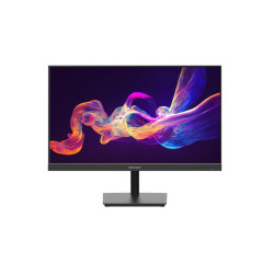 23.8 inch FHD 100Hz IPS