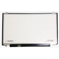 17,3" LCD HD Matte