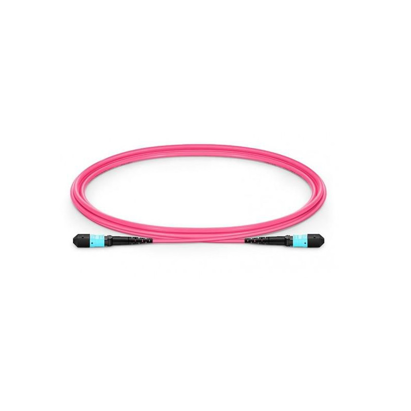 Fiber Patch Cable - 12 cores