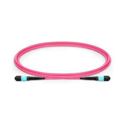 Fiber Patch Cable - 12 cores