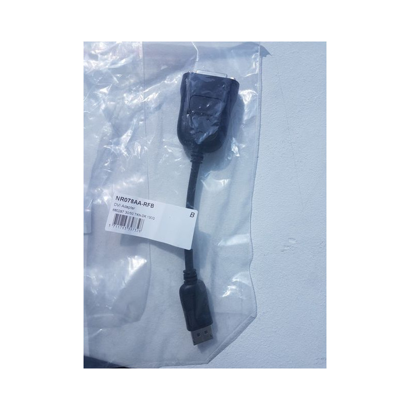 DVI Adapter