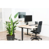 Protector Transparente Monitor Monitor Hasta 32 | APLIUM