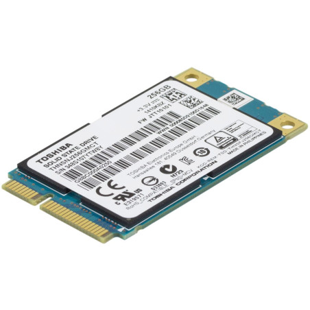 PORTEGE 256GB MSATA SSD