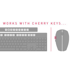 Cherry Dw 5100 Czechia | APLIUM