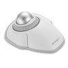 Kensington Orbit With Scroll Ring Wireless Trackball - White | APLIUM