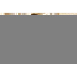 Poly Vl 30 Headset Emea - Intl En Loc Euro Plug | APLIUM