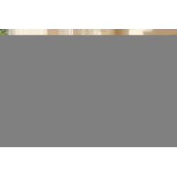 Poly Vl 30 Headset Emea - Intl En Loc Euro Plug | APLIUM